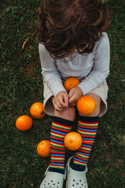 MERINO KNEE HIGH SOCKS - Jester