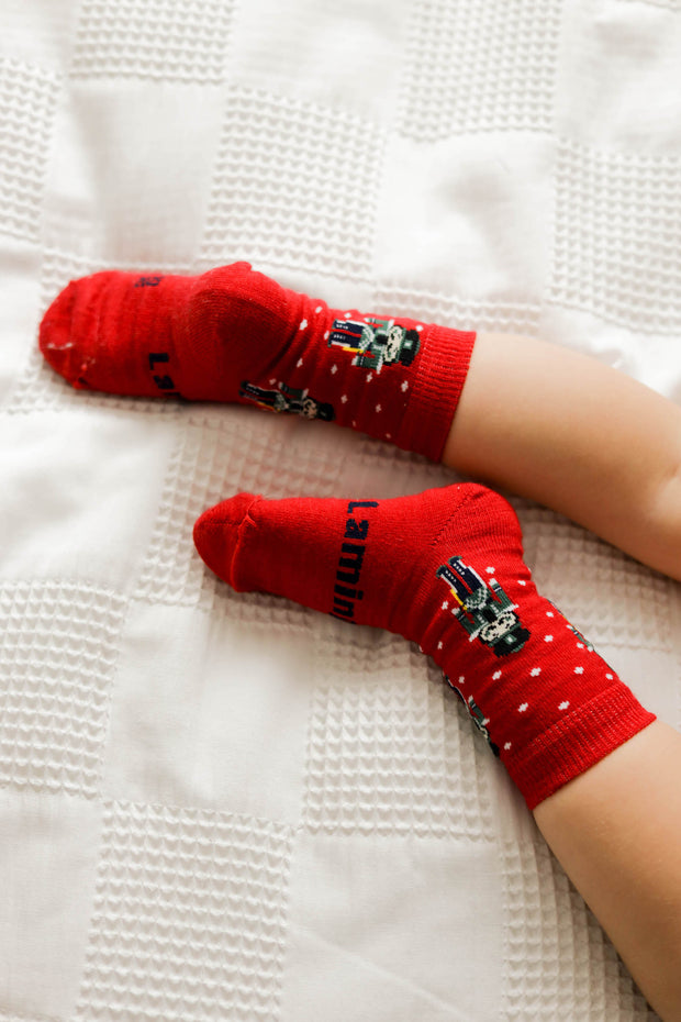 MERINO CREW SOCKS - Red Nutcracker